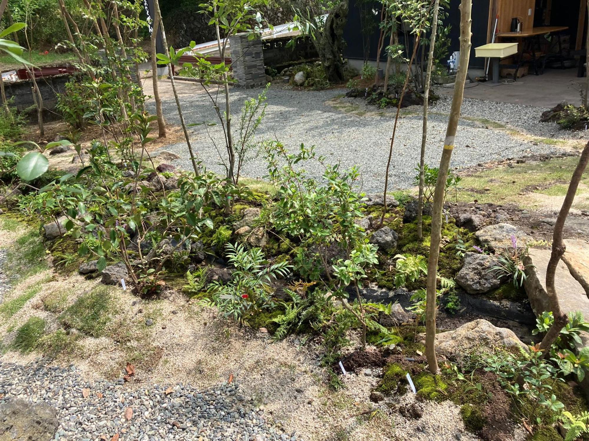 お宿でん吉 Minamiaso Екстериор снимка